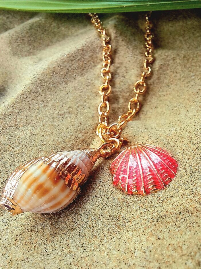 Conjunto Concha Delicada - Imagem 4