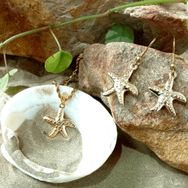Conjunto Chuva de Estrela